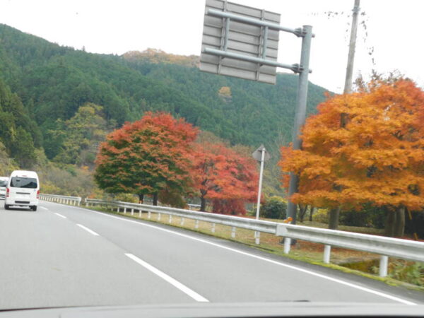 DSCN3131 600x450 - 紅葉ドライブレク