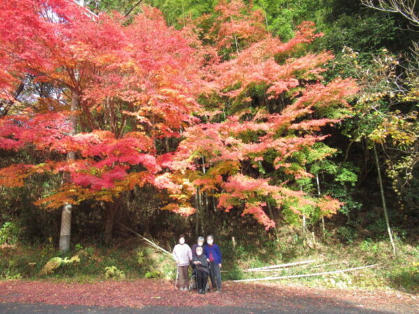 IMG 8298 600x450 - 伊賀CHデイ☆紅葉狩り🍁