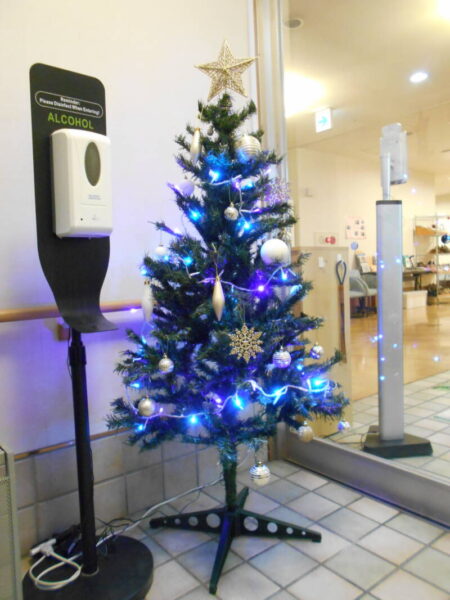 DSCN1146 1 450x600 - カートとクリスマス