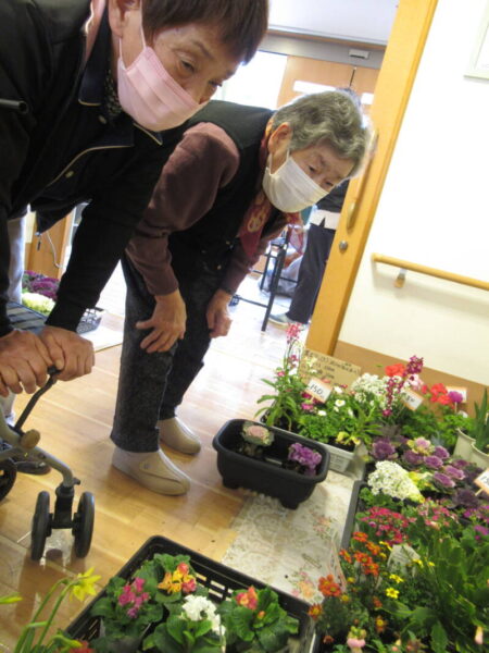 伊賀CHデイ☆今月の手芸『寄せ植え』 IMG 8805 450x600 - 伊賀CHデイ☆今月の手芸『寄せ植え』