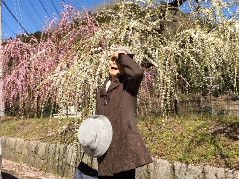 IMG 0186 800x600 - 月ヶ瀬✨梅ツアー②