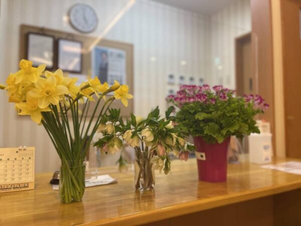 IMG 1982 600x450 - 💐