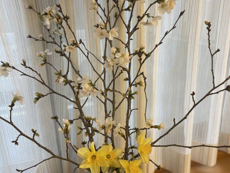 IMG 2013 800x600 - 💐