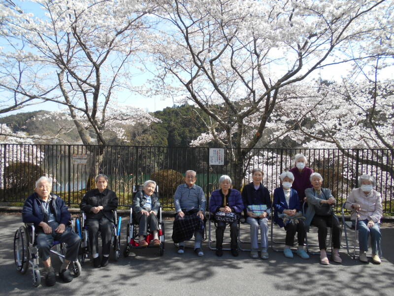 DSCN8855 - 青蓮寺湖へ🌸お花見ドライブ🚙