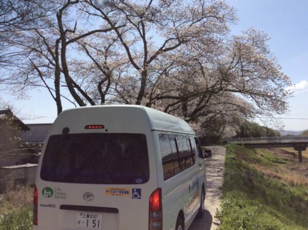 IMG 0220 600x449 - 🌸お花見🌸