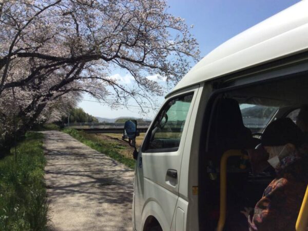 IMG 0221 600x449 - 🌸お花見🌸