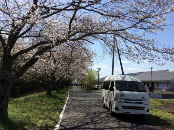 IMG 0224 600x449 - 🌸お花見🌸