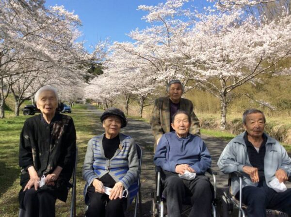 IMG 0247 600x449 - 🌸お花見🌸