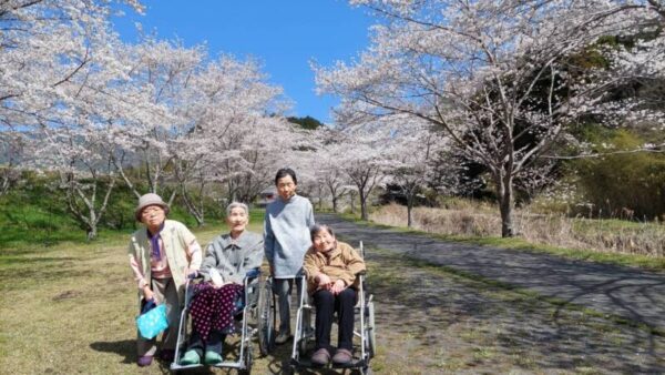 IMG 2189 600x338 - 🌸お花見🌸