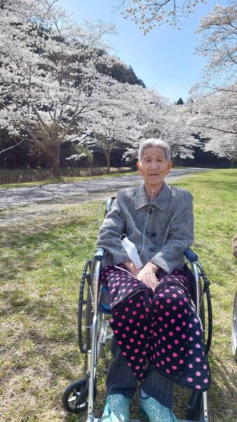 IMG 2198 338x600 - 🌸お花見🌸