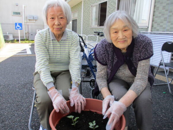 IMG 1973 1 600x450 - 野菜を植えました.🪴🎶