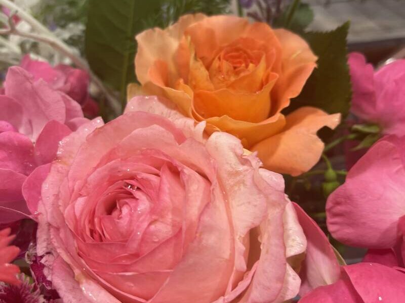 IMG 2959 800x600 - 母の日🌹