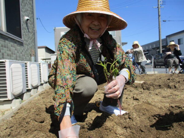 IMG 2012 600x450 - さつまいもの苗を植えました。🎶🌱😊