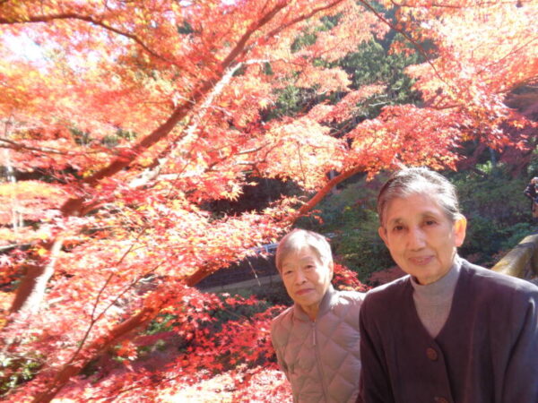 2 1 600x450 - 紅葉狩りへ♪