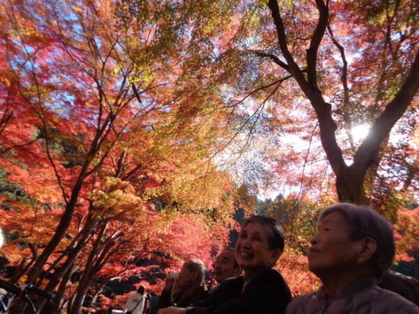 22d1e83ccbdcbad98295491d808fd1a1 600x450 - 紅葉狩りへ♪