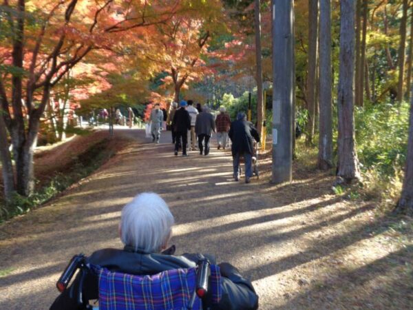 69d4938c554d5376e32d4ac42ad466bc 600x450 - 紅葉狩りへ♪