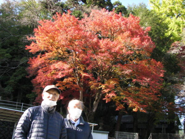 IMG 4587 600x450 - 紅葉見学とドライブに出かけました。