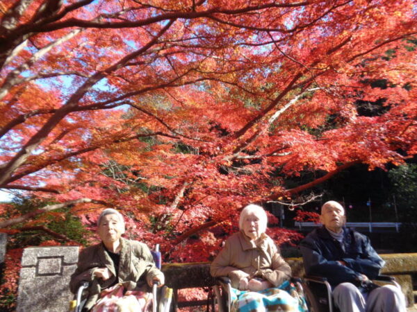 krumai 600x450 - 紅葉狩りへ♪