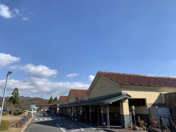 IMG 6974 600x450 - 紅葉狩り☆彡外出レク