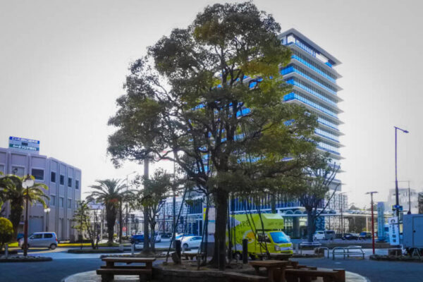 DSC 0285 2 600x400 - 『totutotu』写真ワークショップ