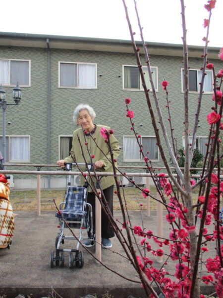 IMG 3122 450x600 - 春はすぐそこ