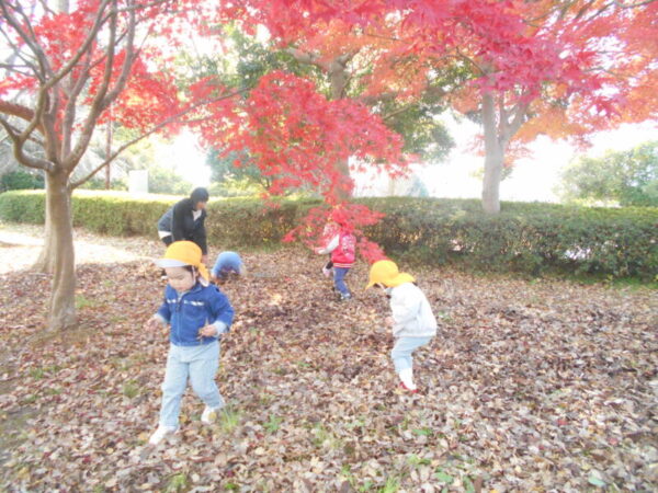 DSCN0026 600x450 - 🔔クリスマス準備🎄お散歩日和🍁