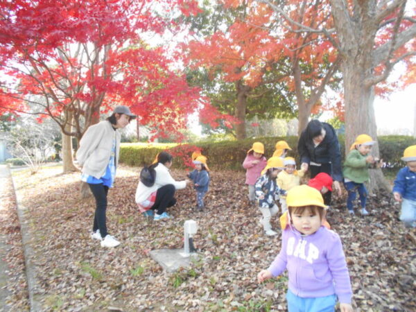 DSCN0041 600x450 - 🔔クリスマス準備🎄お散歩日和🍁