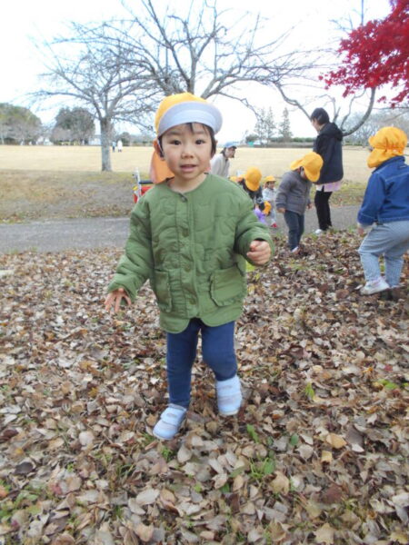 DSCN7716 1 e1733725967446 450x600 - 🔔クリスマス準備🎄お散歩日和🍁