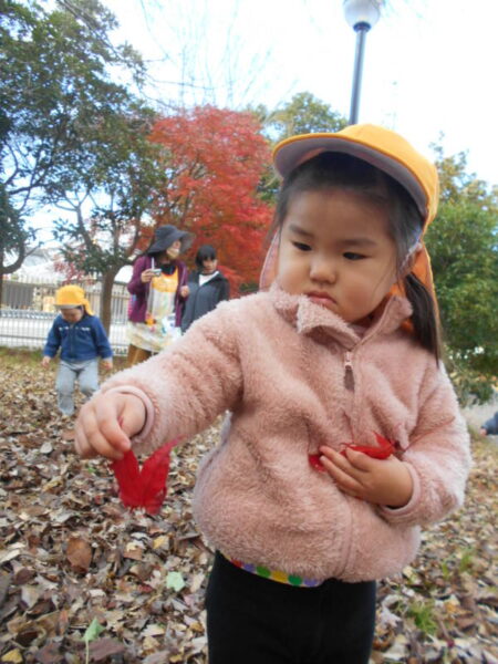 DSCN7729 e1733729281665 450x600 - 🔔クリスマス準備🎄お散歩日和🍁