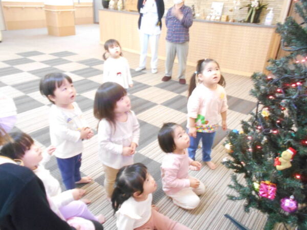 DSCN9927 600x450 - 🔔クリスマス準備🎄お散歩日和🍁