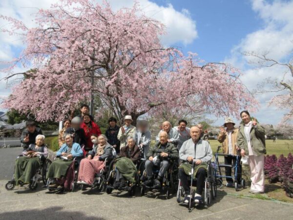 2cdca81ac479f221cf279b591fcb506a 600x450 - お花見ツアー