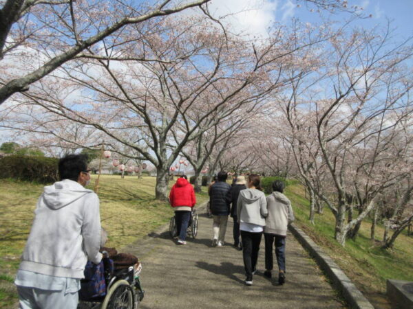 IMG 3727 1 600x450 - お花見ツアー