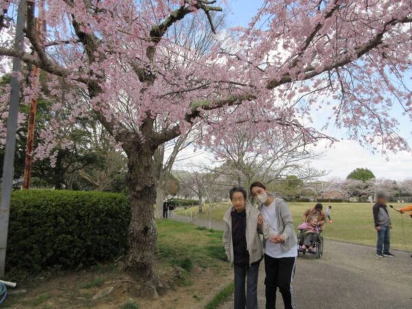 afe916361be4894e1864e0d7afecdd0d 1 600x450 - お花見ツアー