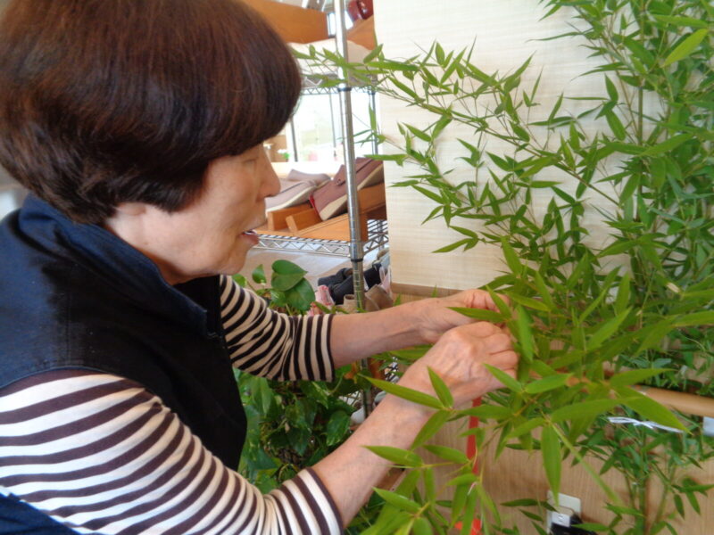 DSC07035 800x600 - 七夕飾り