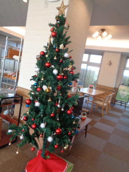 DSC07911 450x600 - 足湯をした後、クリスマスツリーを飾りました🎄