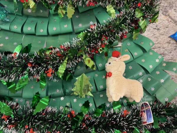 IMG 6930 600x450 - 🎄✨✨✨✨✨✨