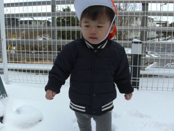 1 600x450 - 雪が降ってきた！！