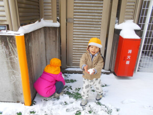 11 1 600x450 - 雪が降ってきた！！
