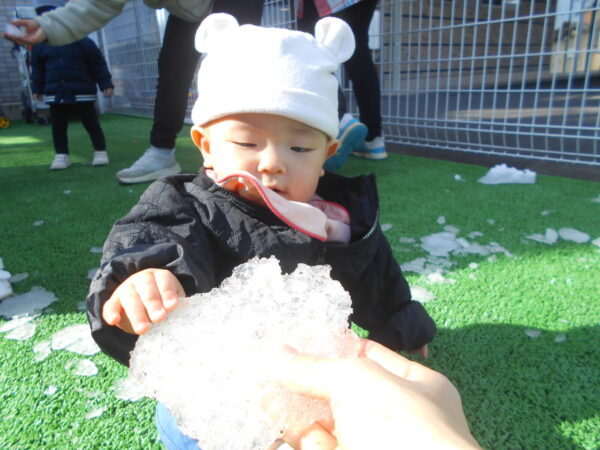 21 1 600x450 - 雪が降ってきた！！