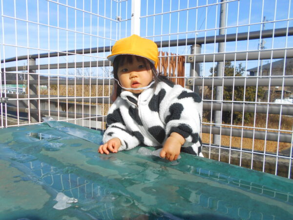 27 600x450 - 雪が降ってきた！！