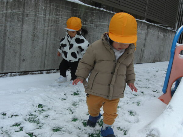 3 600x450 - 雪が降ってきた！！