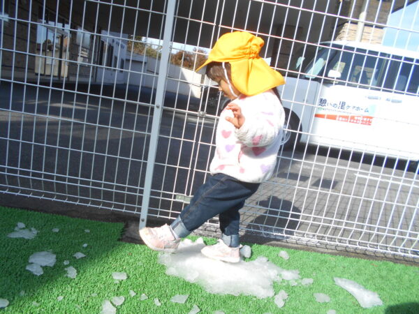 30 600x450 - 雪が降ってきた！！