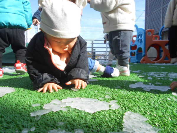 31 600x450 - 雪が降ってきた！！