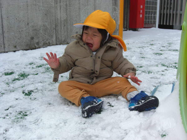 4 600x450 - 雪が降ってきた！！