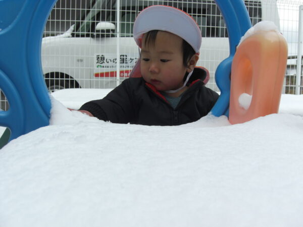 5 600x450 - 雪が降ってきた！！