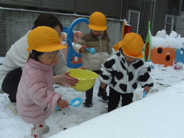 6 600x450 - 雪が降ってきた！！