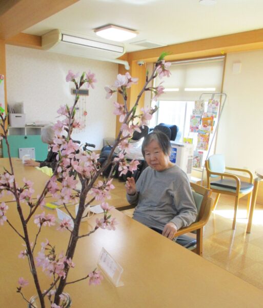 桜開花 3215 1 513x600 - 桜開花