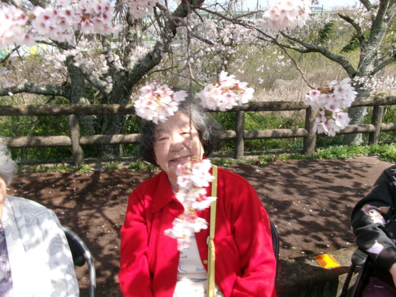 102 5248 800x600 - お花見❀２０２６