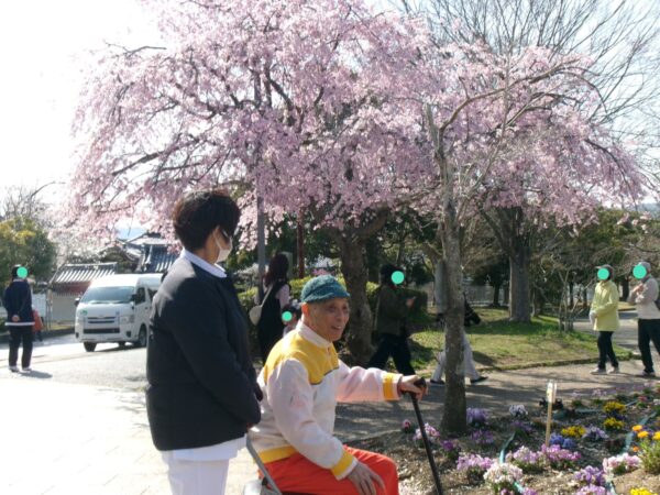 103 2101c 600x450 - 平尾山カルチャーパークでお花見