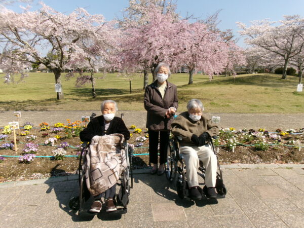 103 2106 600x450 - 平尾山カルチャーパークでお花見